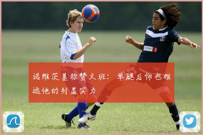 诺维茨基称赞文班：单腿后仰也难逃他的封盖实力