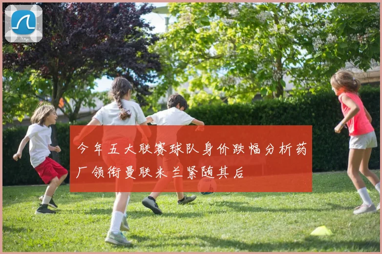 今年五大联赛球队身价跌幅分析药厂领衔曼联米兰紧随其后