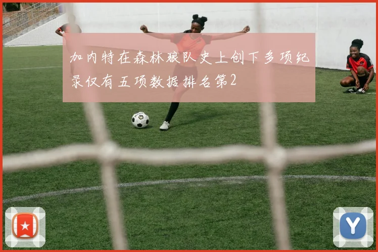 加内特在森林狼队史上创下多项纪录仅有五项数据排名第2